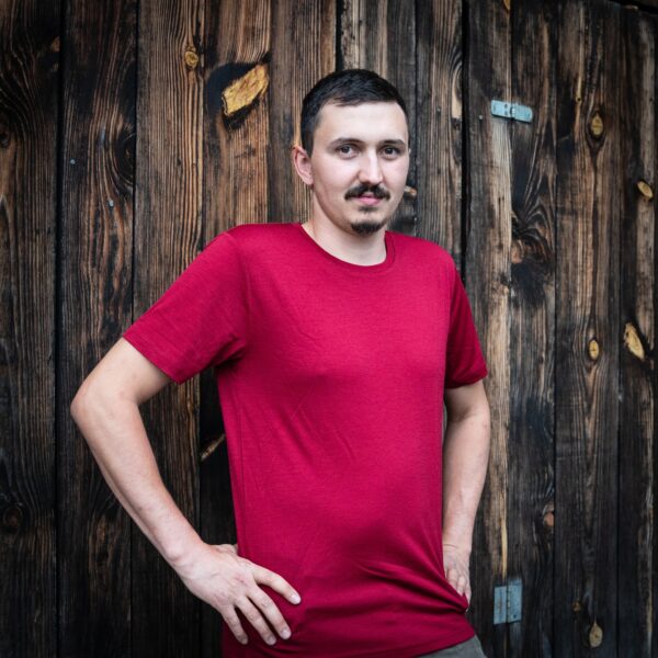CEASAR T-SHIRT, 100% MERINOWOLLE  - rot/grün/stahlblau -  Ivanhoe